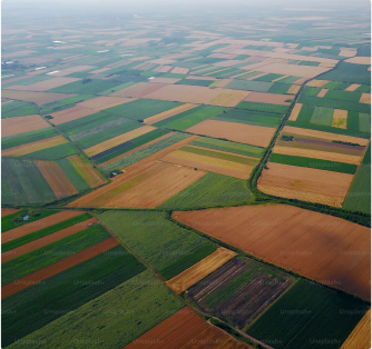 Landscape 2