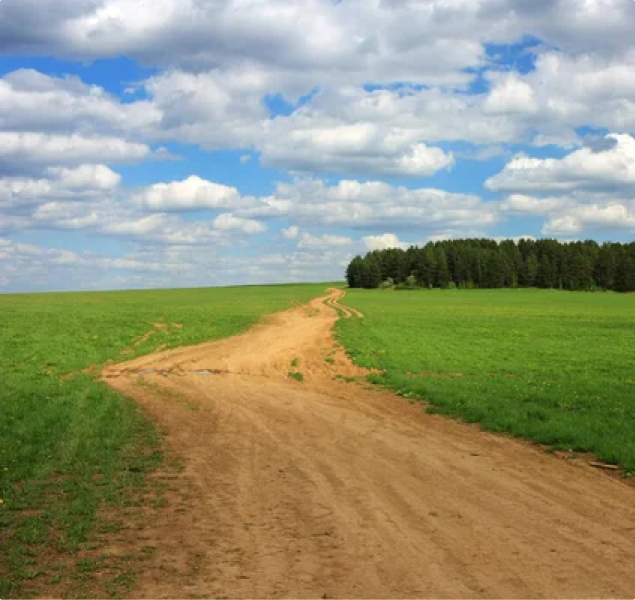 Landscape 1